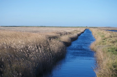 Cley Marshes